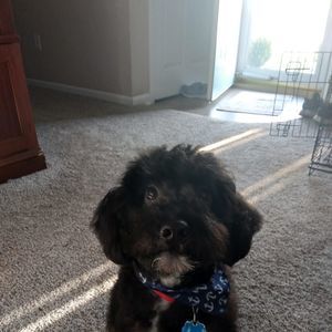 Meet your Posher, Joni